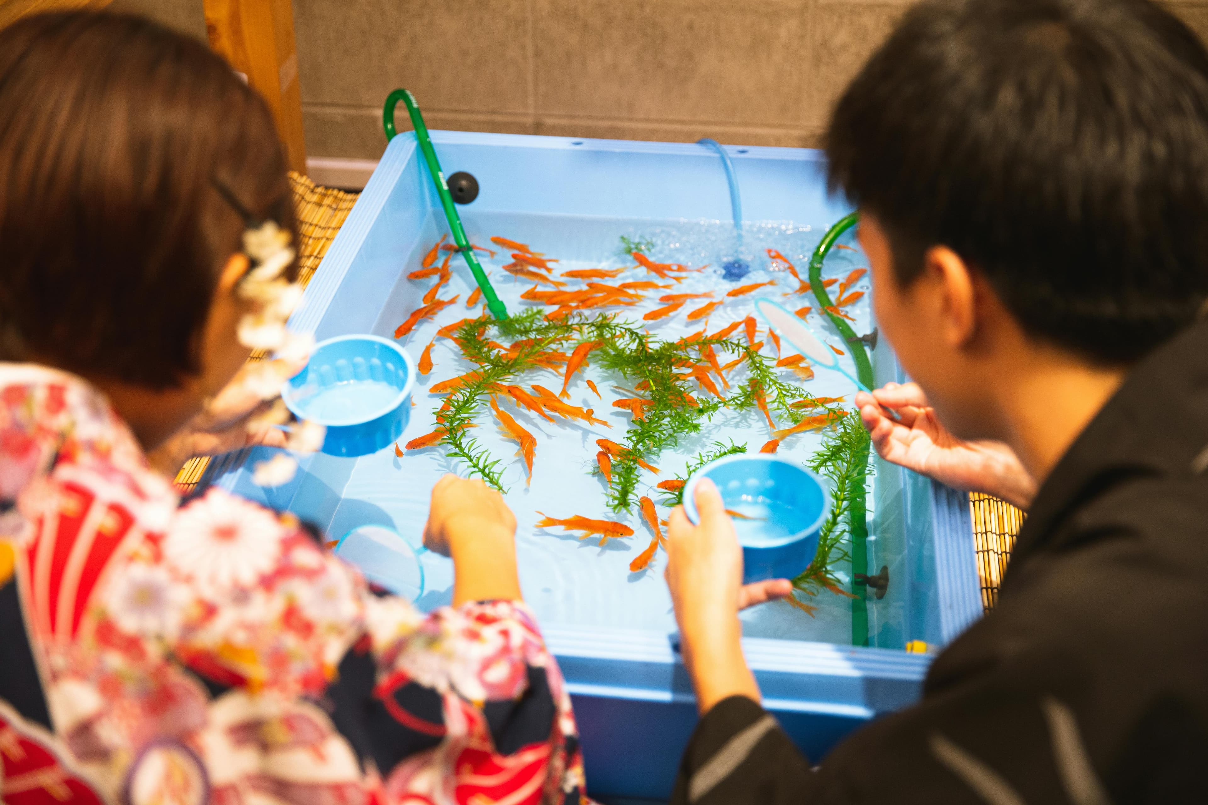 AI Receptionist for Aquarium Maintenance