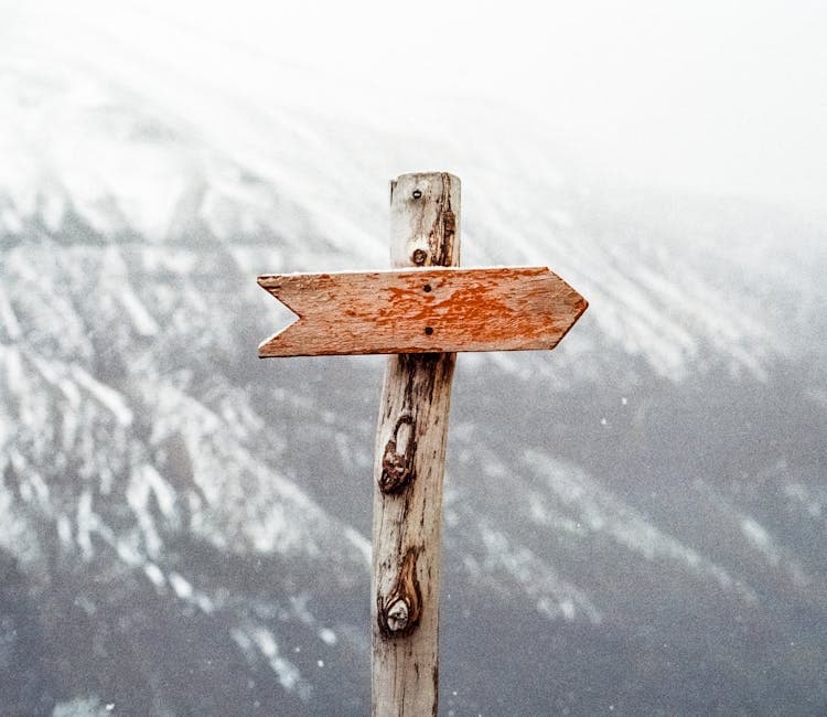 Mastering Effective Lead Follow Up Strategies in 2024: The Lead Follow Up Script