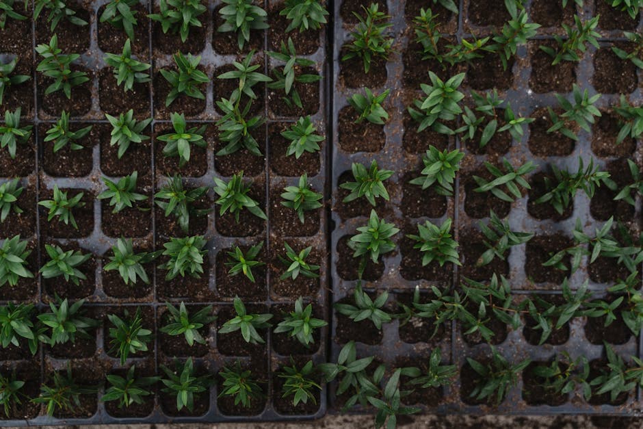 How to Start a Landscaping Business in 2024