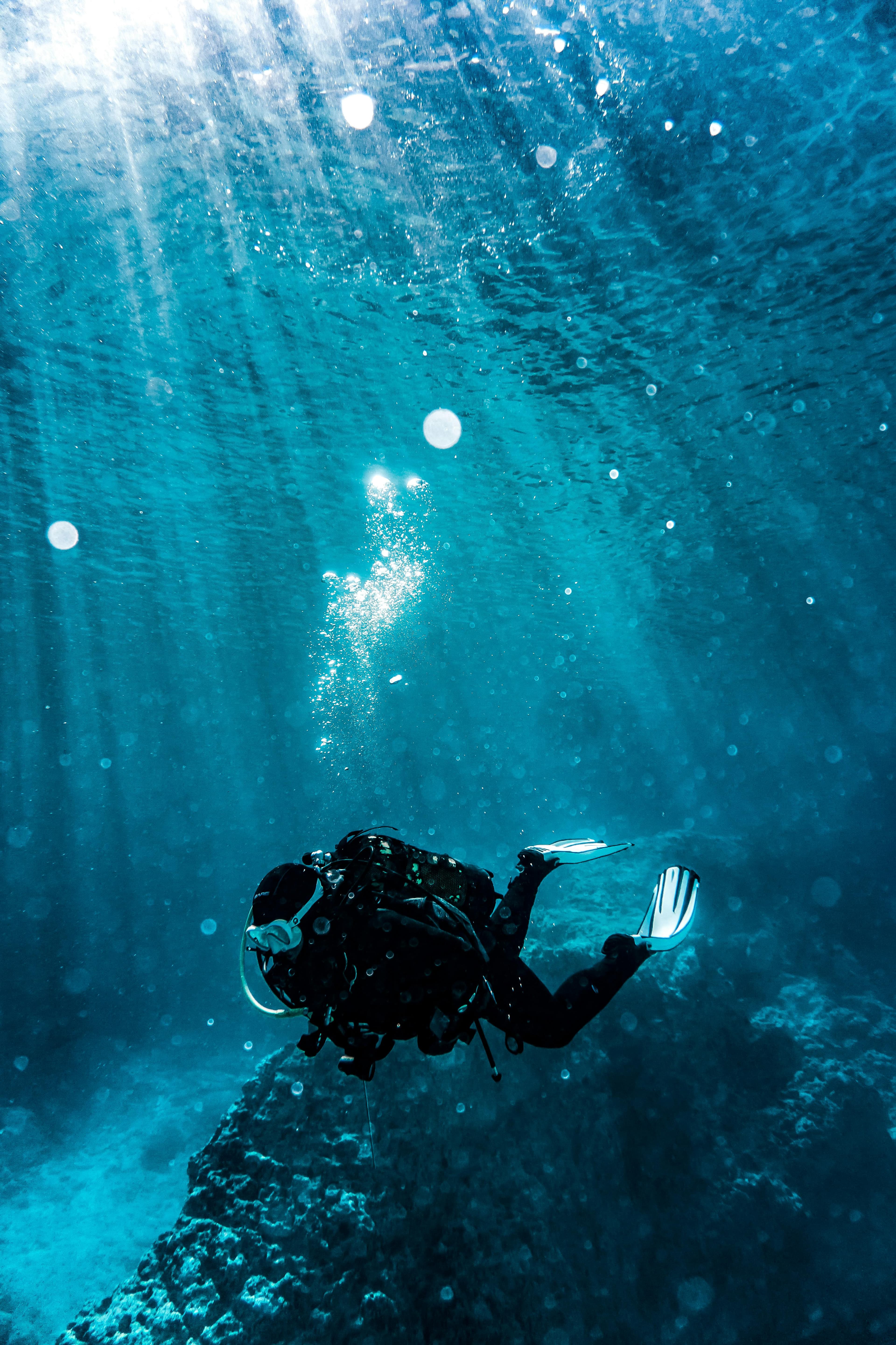 AI Receptionist for Scuba Diving