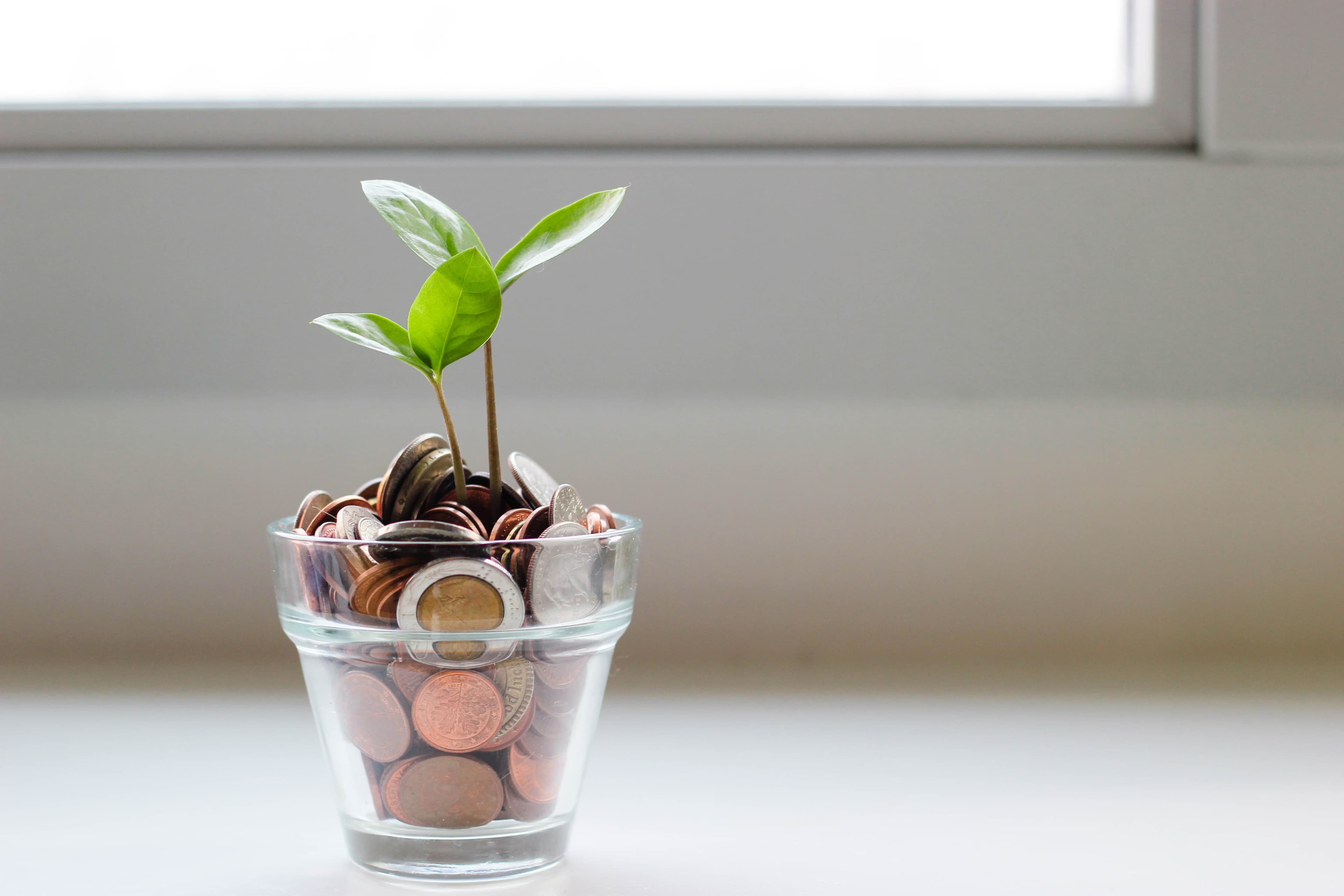 The Art of Managing Client Expectations in Real Estate Transactions